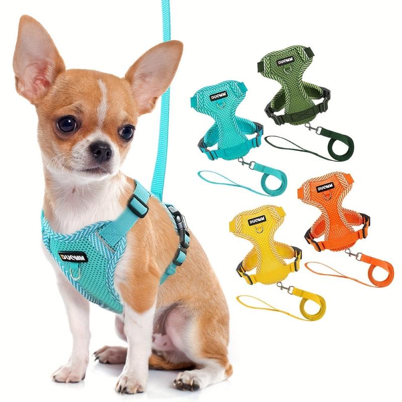 Breathable Mesh Dog Vest for Summer Walks, Adjustable and Reflective