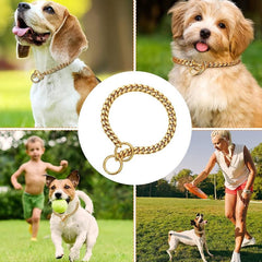 Cuban Link Dog Collar for Small/Medium Dogs