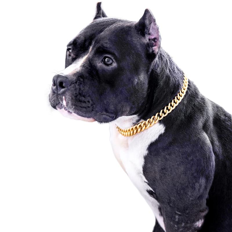 Cuban Link Dog Collar for Small/Medium Dogs
