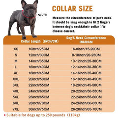 Cuban Link Dog Collar for Small/Medium Dogs