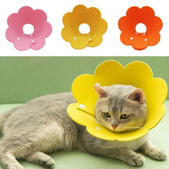 Sunflower Pet Collar Cat Recovery Anti Licking Collar For Cat
