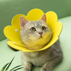 Sunflower Pet Collar Cat Recovery Anti Licking Collar For Cat