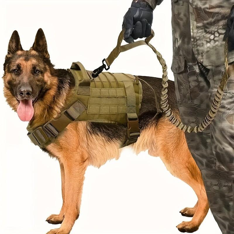 Heavy-Duty Tactical Dog Leash for Medium & Large Dogs