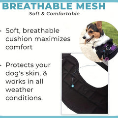 Adjustable Dog Vest Harness for Outdoor Walking