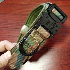 Nylon Dog Collar with Alloy Buckle for Medium and Large Dogs