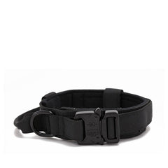 Nylon Dog Collar with Alloy Buckle for Medium and Large Dogs
