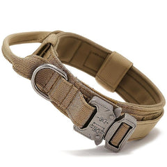 Nylon Dog Collar with Alloy Buckle for Medium and Large Dogs