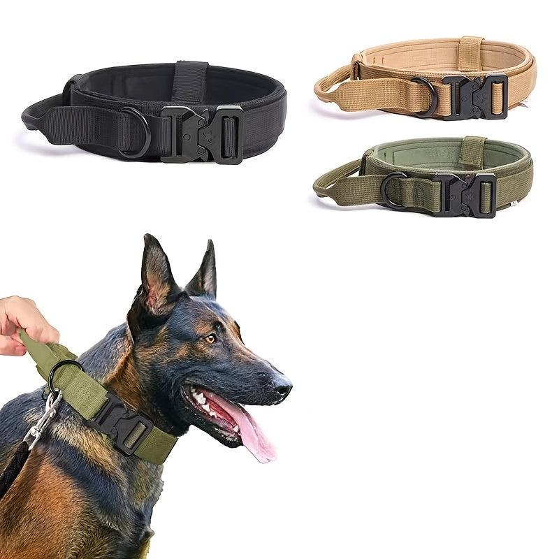 Nylon Dog Collar with Alloy Buckle for Medium and Large Dogs