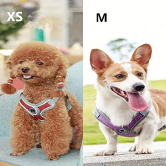 Reflective Dog Harness and Leash Set for Small to Medium Dogs