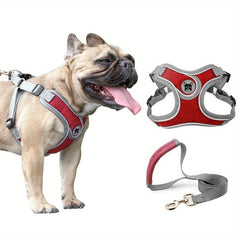 Reflective Dog Harness and Leash Set for Small to Medium Dogs
