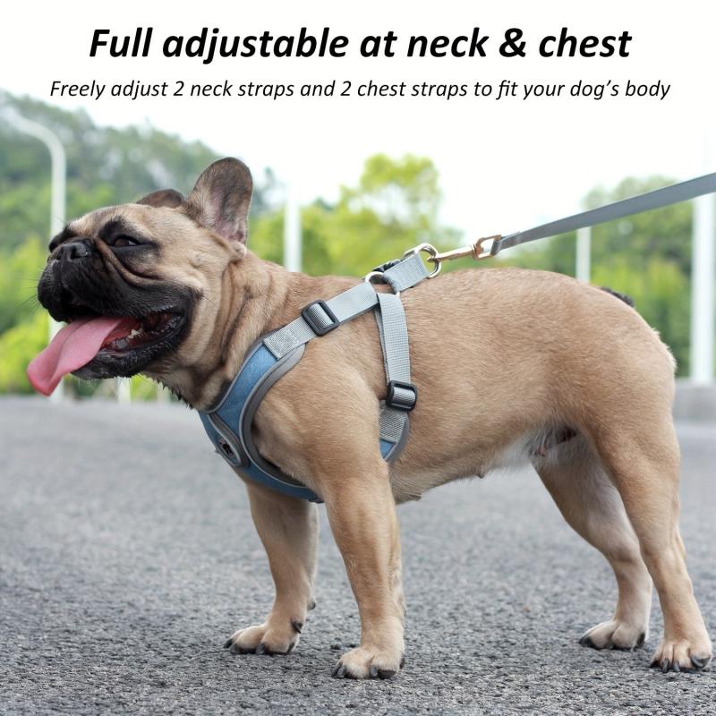 Reflective Dog Harness and Leash Set for Small to Medium Dogs