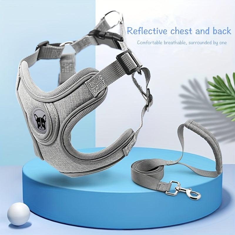 Reflective Dog Harness and Leash Set for Small to Medium Dogs