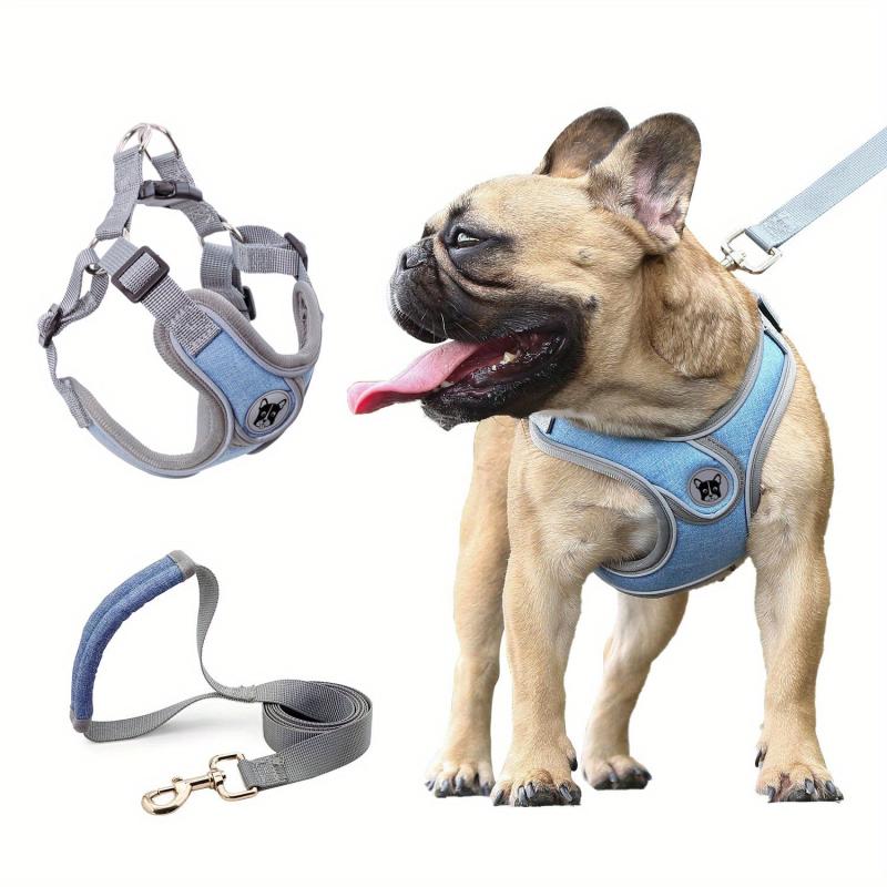 Reflective Dog Harness and Leash Set for Small to Medium Dogs