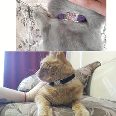 Velvet Cat Collar with Heart Charm, Rhinestones, Bells