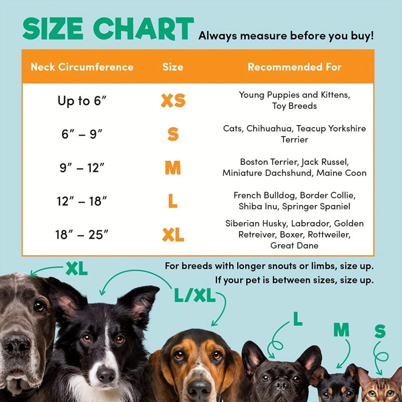 Soft Inflatable Pet Recovery Collar for Dogs and Cats