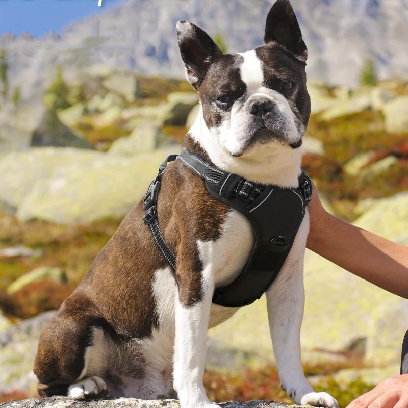 Reflective No Pull Dog Harness with Handle and Padding