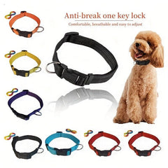 Adjustable Classic Dog Collar With Quick Release Buckle
