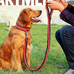 Heavy Duty Dog Collar & Leash Set with Rope Training Leash