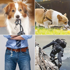 Heavy Duty Double Ended Bolt Snap Buckle for Dog Leash