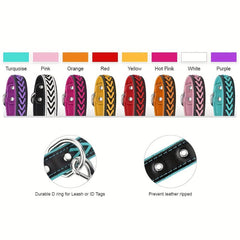 Taglory Leather Dog Collar Braided Padded Collar Double D Rings
