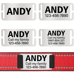 Reflective Neoprene Dog Collar Personalized Small