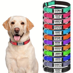 Reflective Neoprene Dog Collar Personalized Small