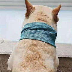 Instant Cooling Bandana Pet Scarf for Hot Summer Days