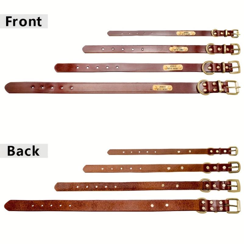 Personalized Leather Dog Collar for Small to Large Dogs