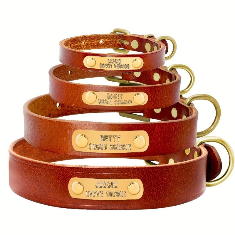 Personalized Leather Dog Collar for Small to Large Dogs