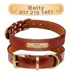 Personalized Leather Dog Collar for Small to Large Dogs