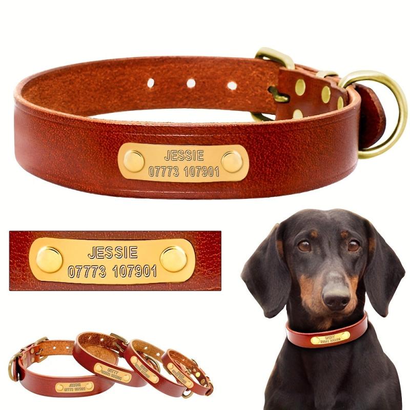 Personalized Leather Dog Collar for Small to Large Dogs