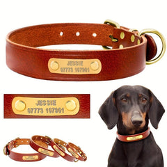 Personalized Leather Dog Collar for Small to Large Dogs