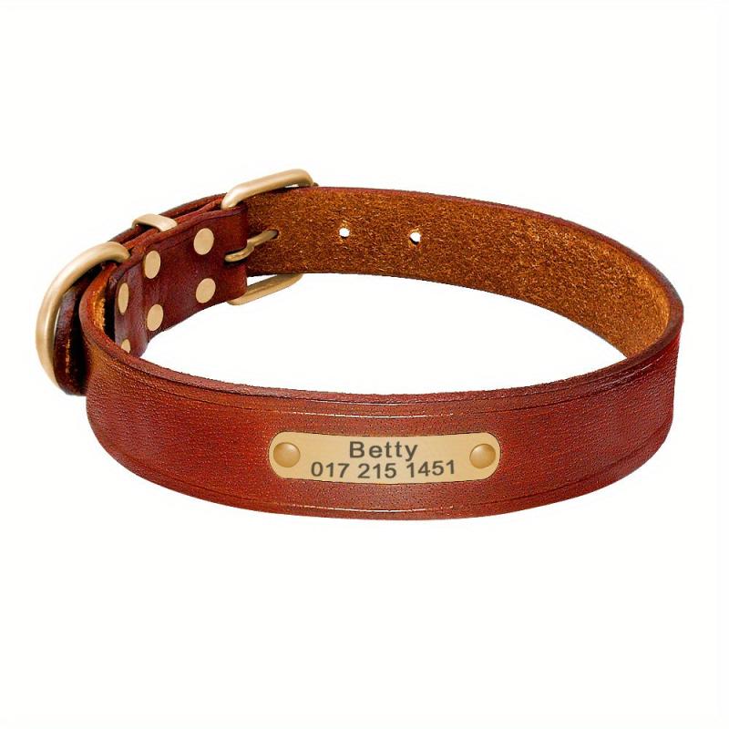 Personalized Leather Dog Collar for Small to Large Dogs