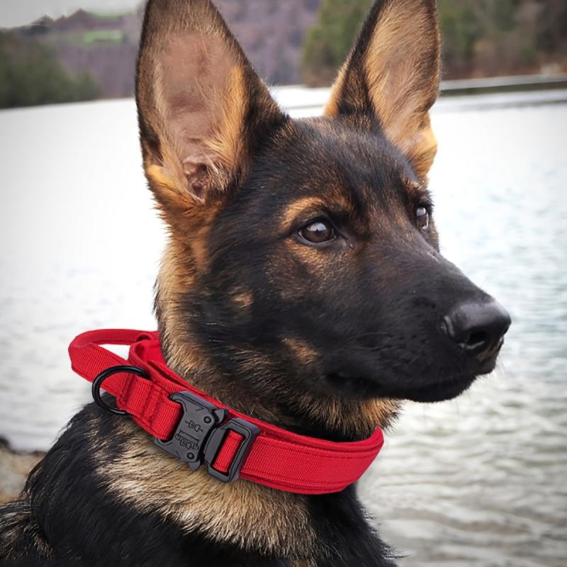 Tactical Dog Collar with Metal Buckle Adjustable Nylon Military Collar
