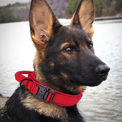 Tactical Dog Collar with Metal Buckle Adjustable Nylon Military Collar