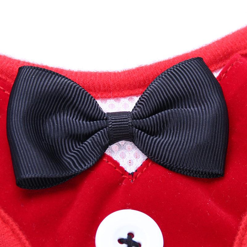 Stylish No Pull Pet Harness and Leash Set for Dogs and Cats
