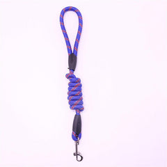 Small Dog Rope Leash Durable and Stylish Pet Accessories
