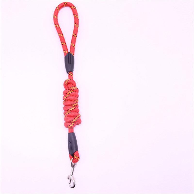 Small Dog Rope Leash Durable and Stylish Pet Accessories