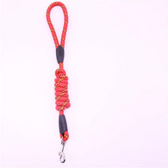 Small Dog Rope Leash Durable and Stylish Pet Accessories