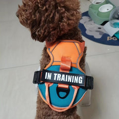 Reflective Breathable Dog Vest with Handle, Adjustable and Padded