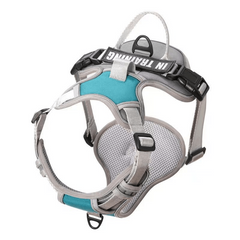 Reflective Breathable Dog Vest with Handle, Adjustable and Padded
