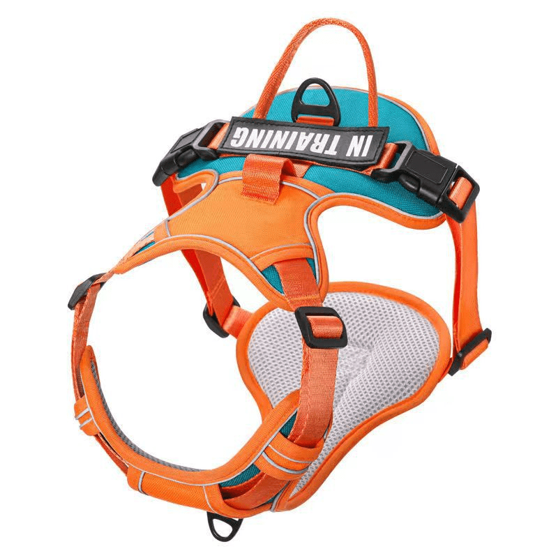 Reflective Breathable Dog Vest with Handle, Adjustable and Padded