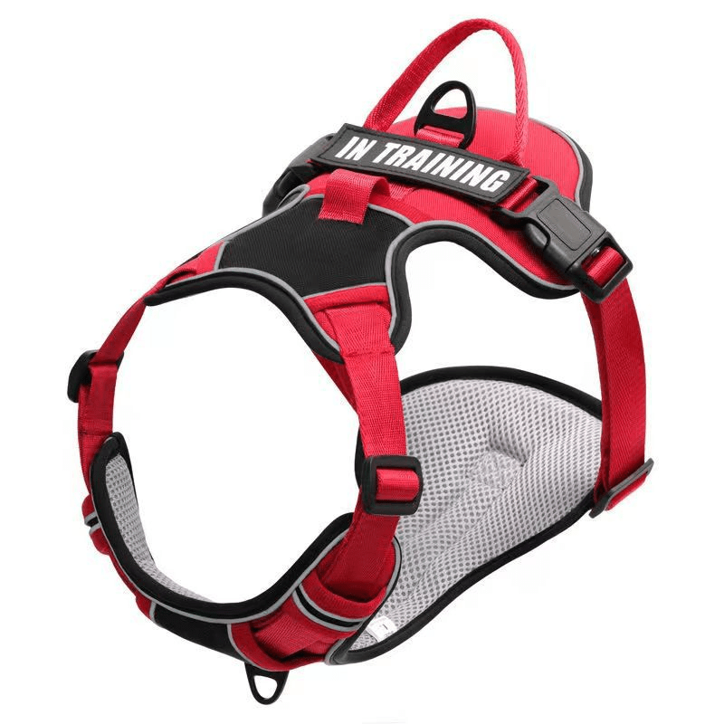 Reflective Breathable Dog Vest with Handle, Adjustable and Padded