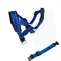 Padded Headcollar & Strap for Safe & Comfortable Dog Walking