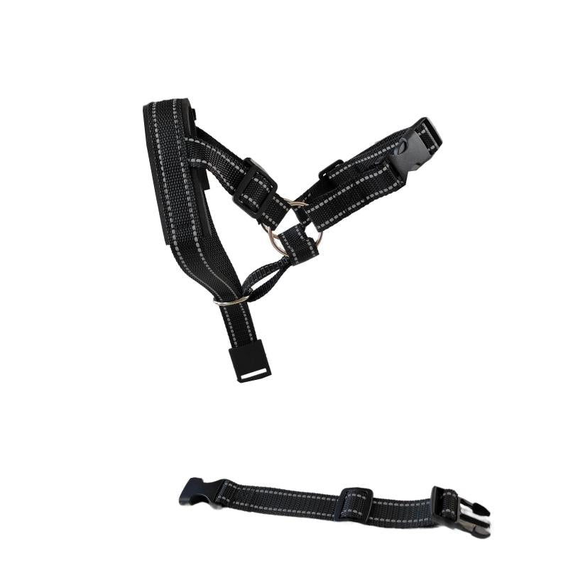 Padded Headcollar & Strap for Safe & Comfortable Dog Walking