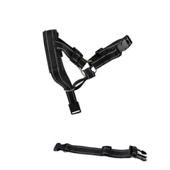 Padded Headcollar & Strap for Safe & Comfortable Dog Walking