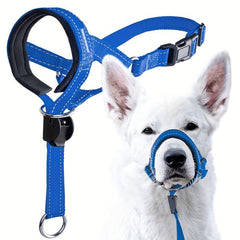 Padded Headcollar & Strap for Safe & Comfortable Dog Walking