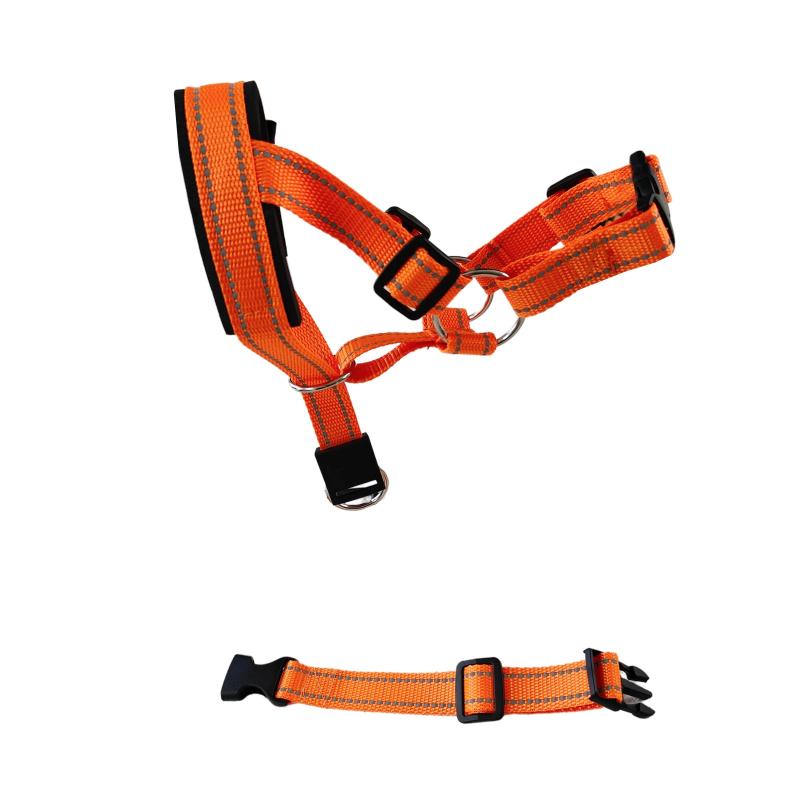 Padded Headcollar & Strap for Safe & Comfortable Dog Walking