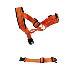 Padded Headcollar & Strap for Safe & Comfortable Dog Walking