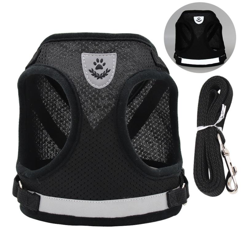 Reflective Pet Harness and Leash Set for Outdoor Walking